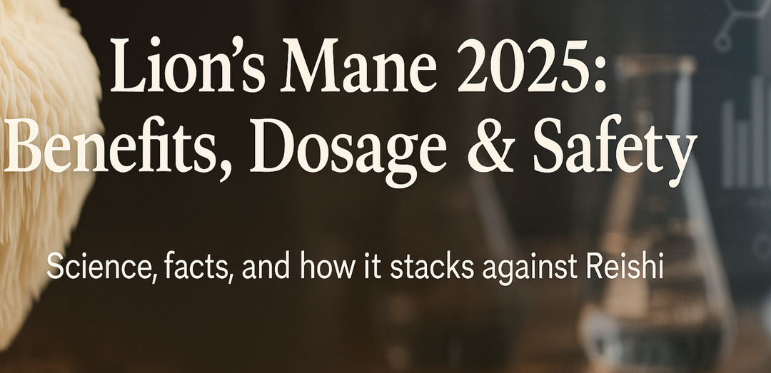 Lion’s Mane 2025, and how it stacks against Reishi