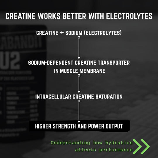FU2 creatine + electrolytes